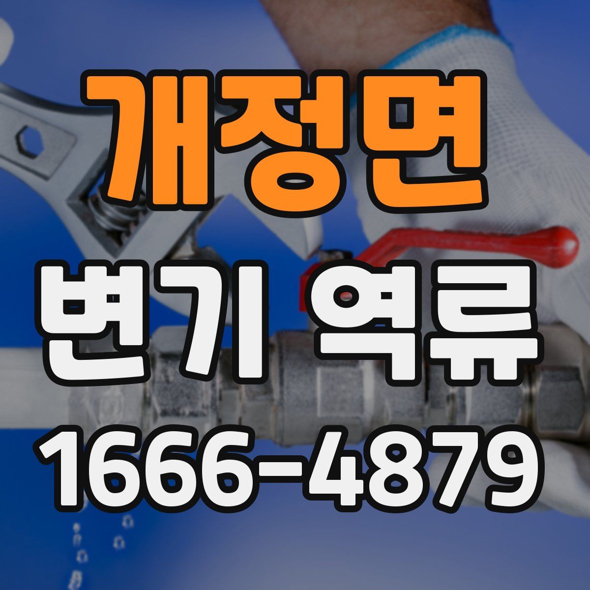 개정면 변기 역류
