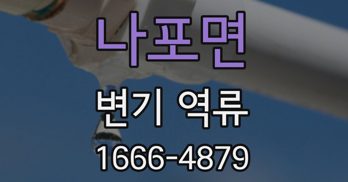 나포면 변기 역류