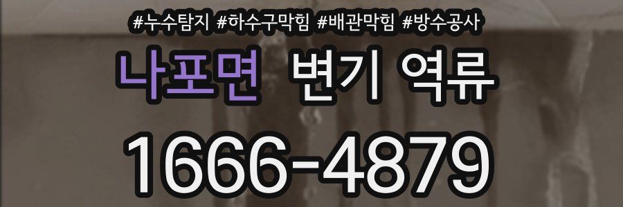 나포면 변기 역류