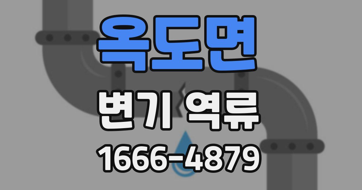 옥도면 변기 역류