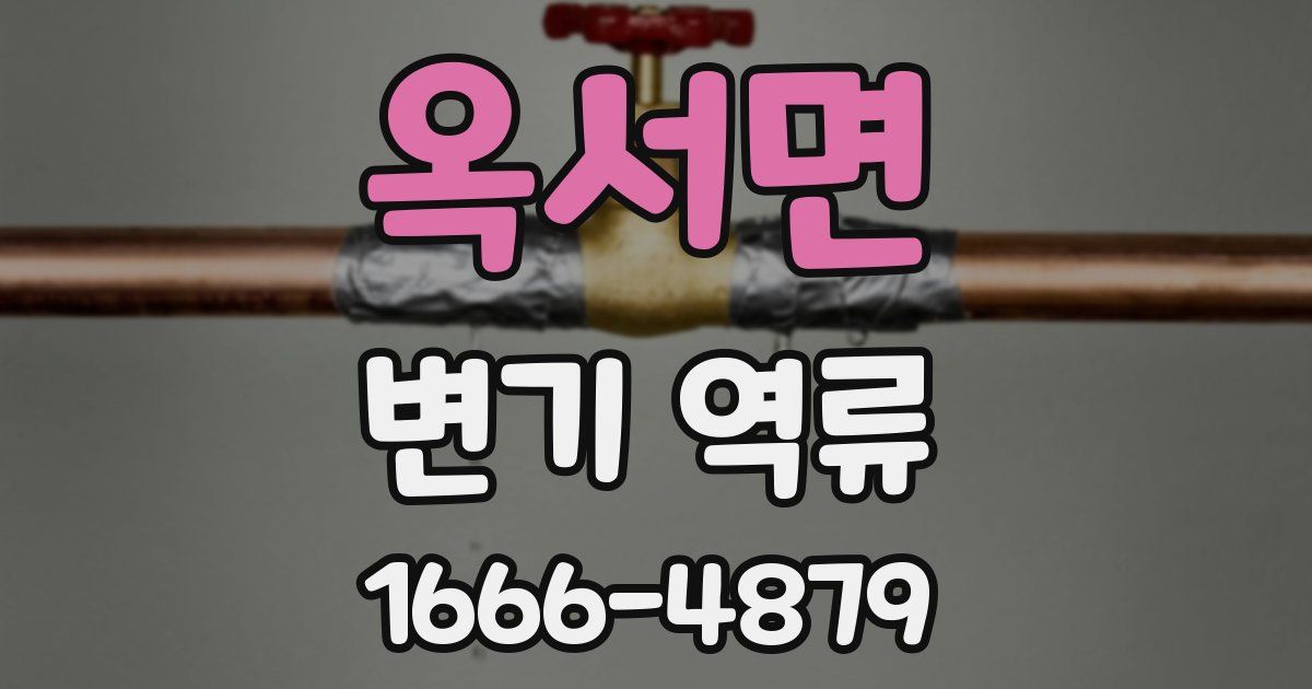 옥서면 변기 역류