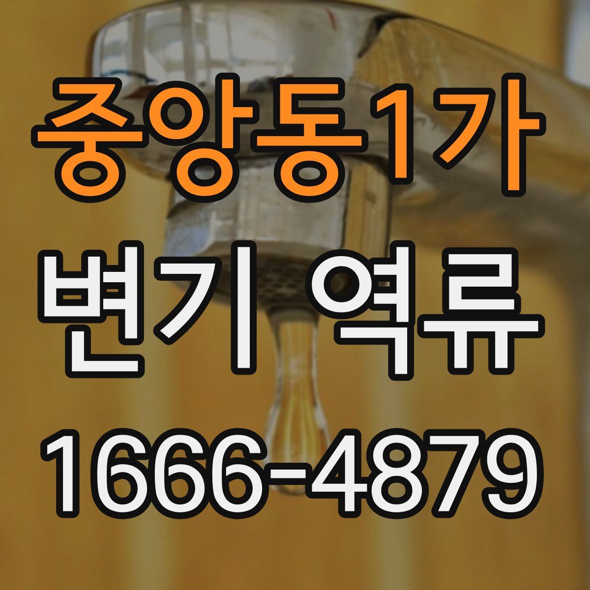 중앙동1가 변기 역류