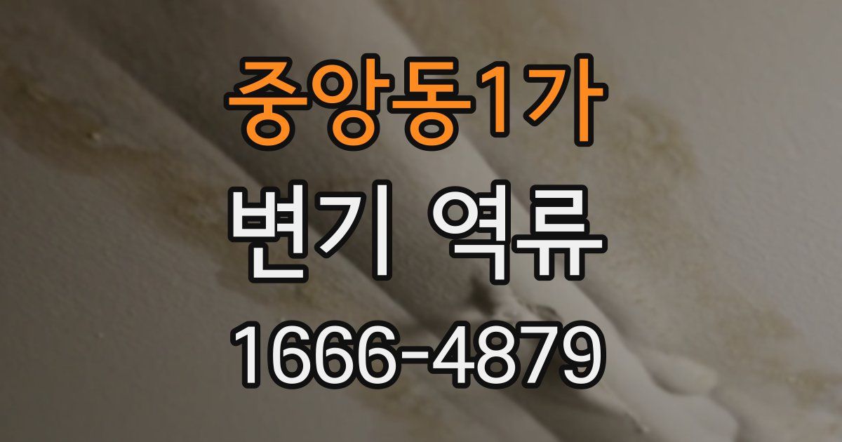 중앙동1가 변기 역류