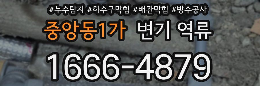 중앙동1가 변기 역류