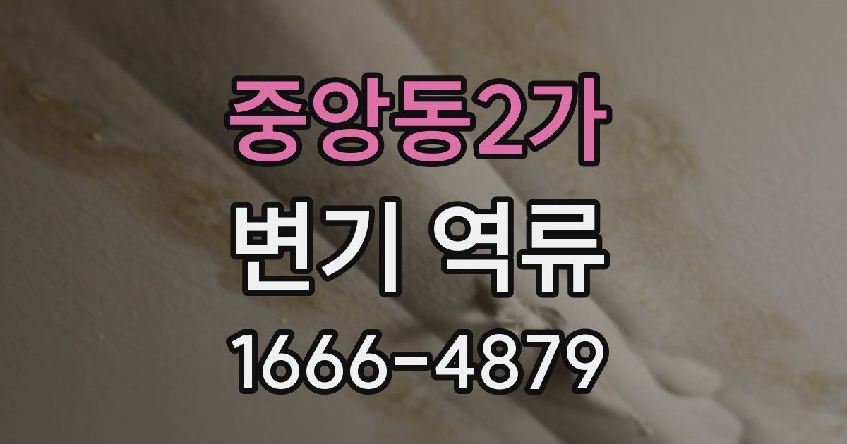 중앙동2가 변기 역류