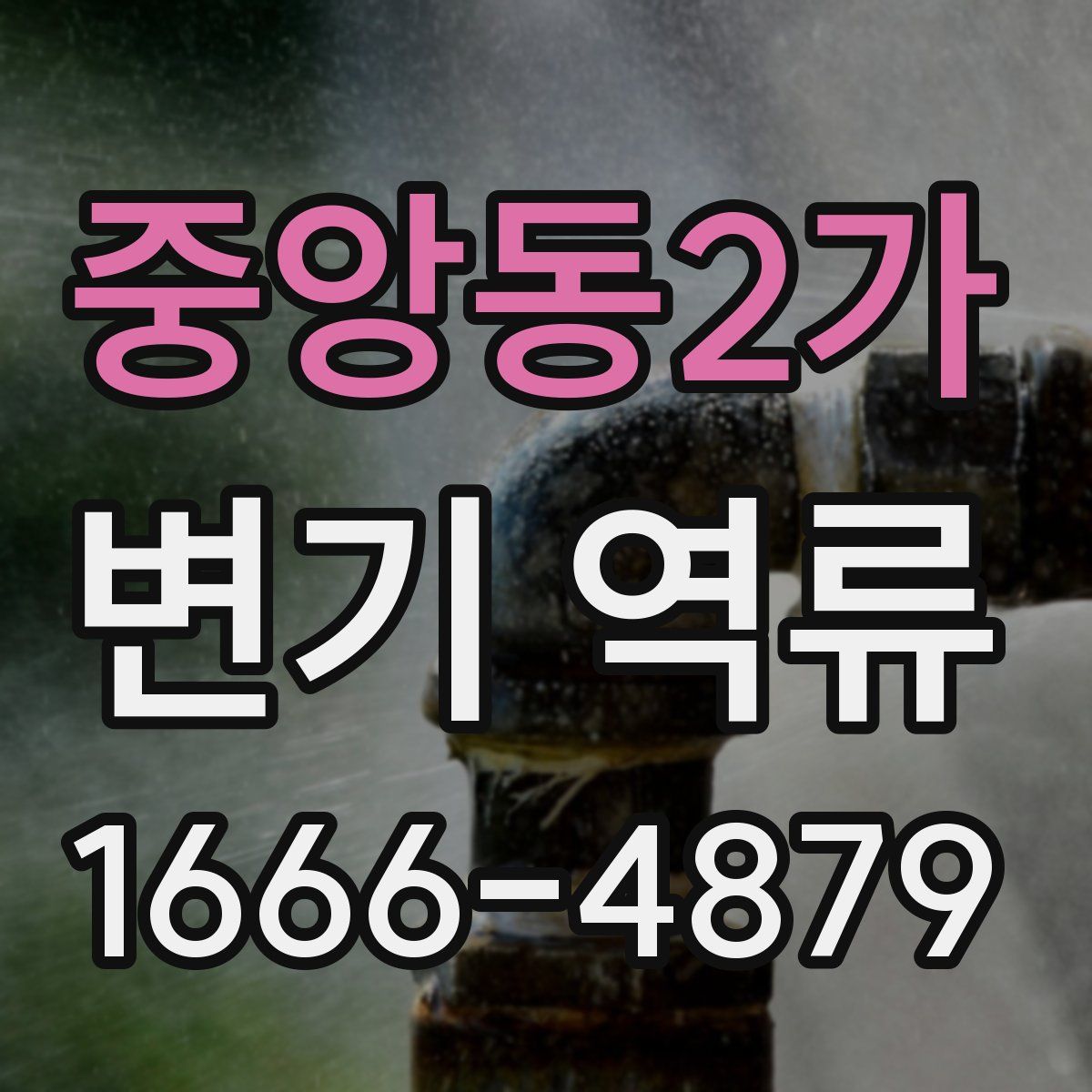 중앙동2가 변기 역류