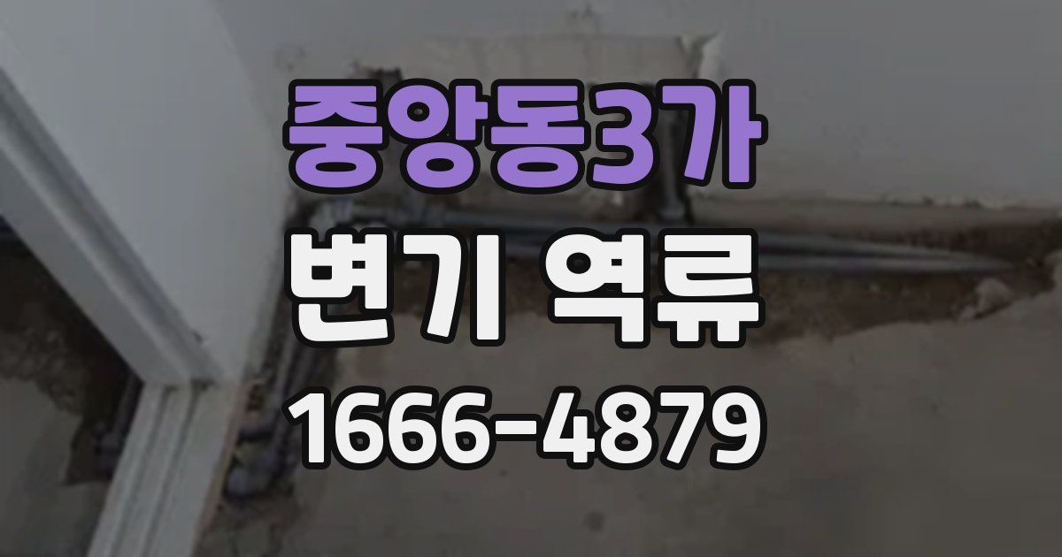 중앙동3가 변기 역류