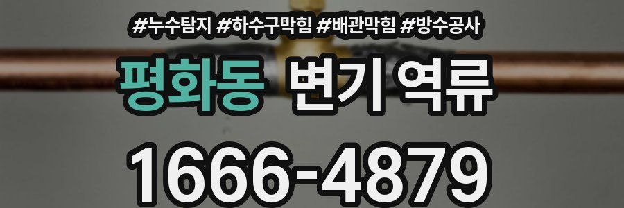 평화동 변기 역류