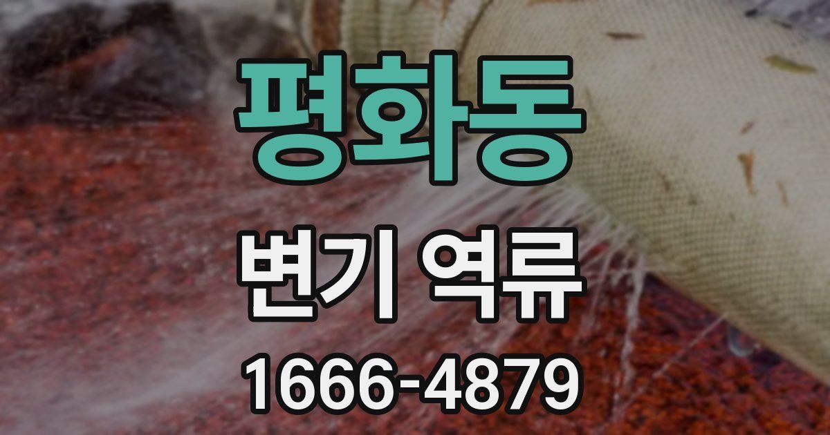 평화동 변기 역류