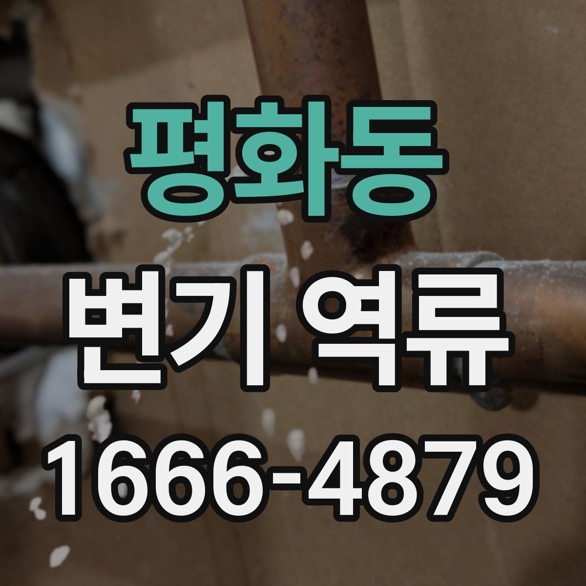 평화동 변기 역류