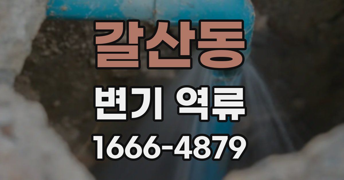 갈산동 변기 역류