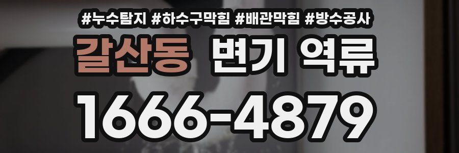 갈산동 변기 역류