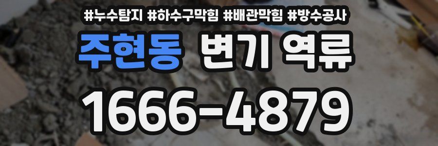 주현동 변기 역류