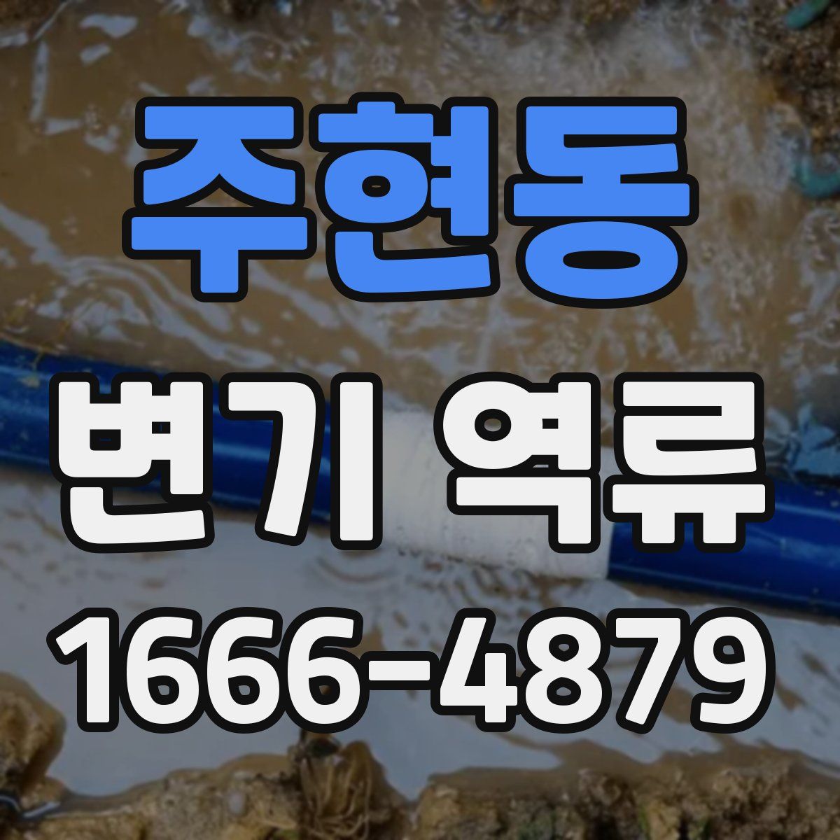 주현동 변기 역류