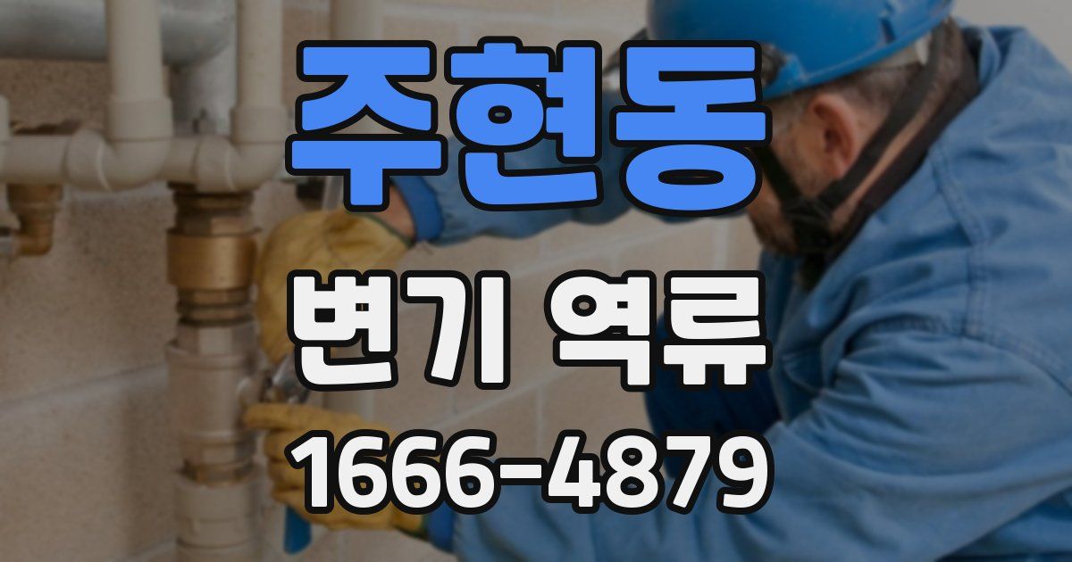 주현동 변기 역류