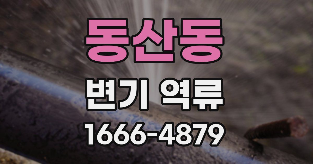 동산동 변기 역류