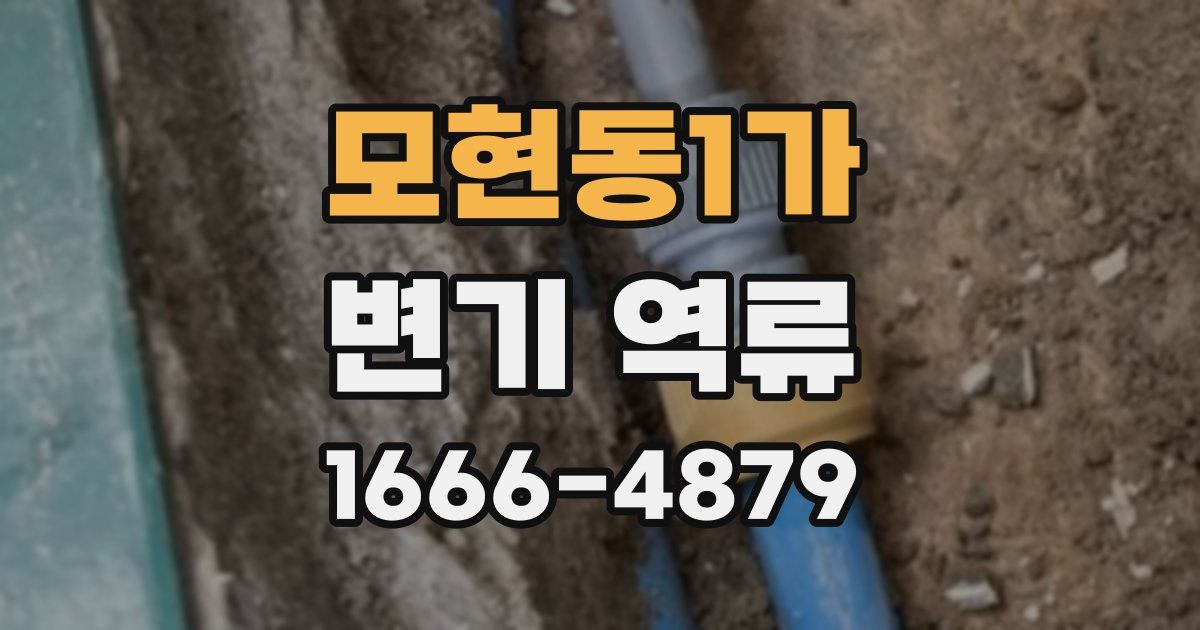 모현동1가 변기 역류