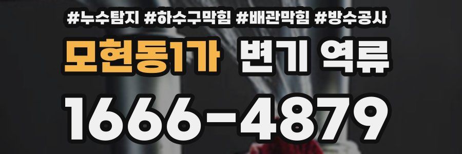 모현동1가 변기 역류