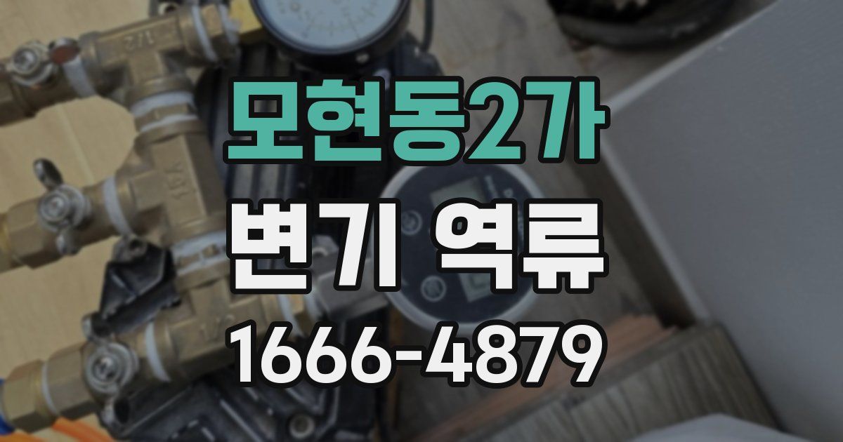 모현동2가 변기 역류