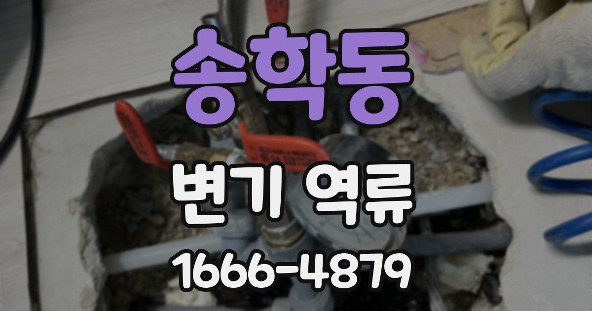 송학동 변기 역류