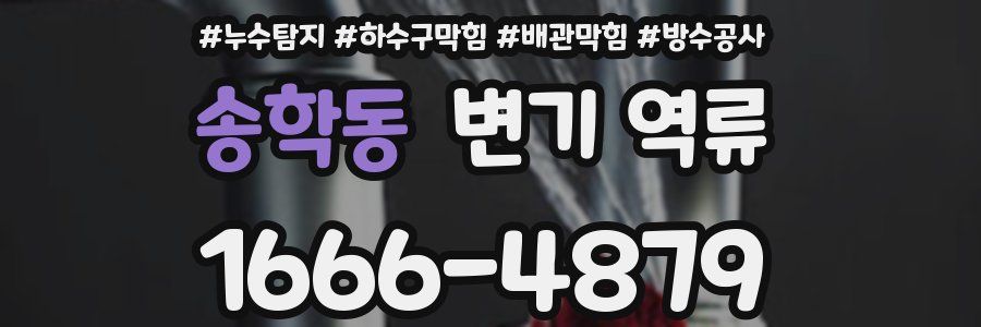 송학동 변기 역류