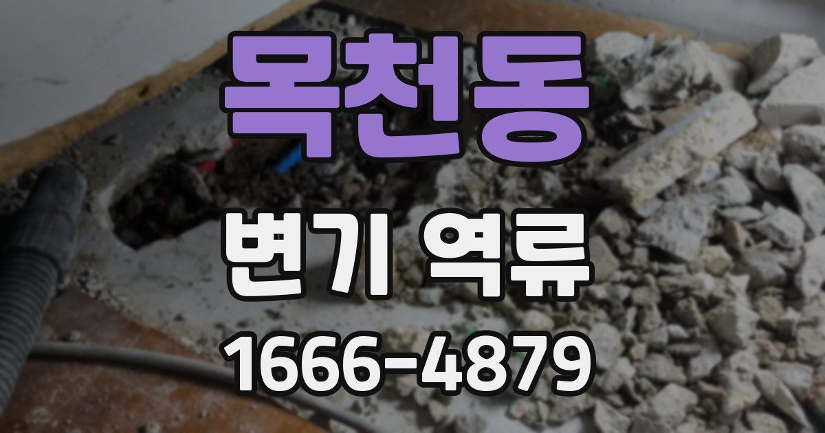 목천동 변기 역류