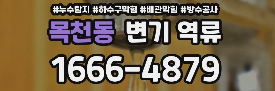 목천동 변기 역류