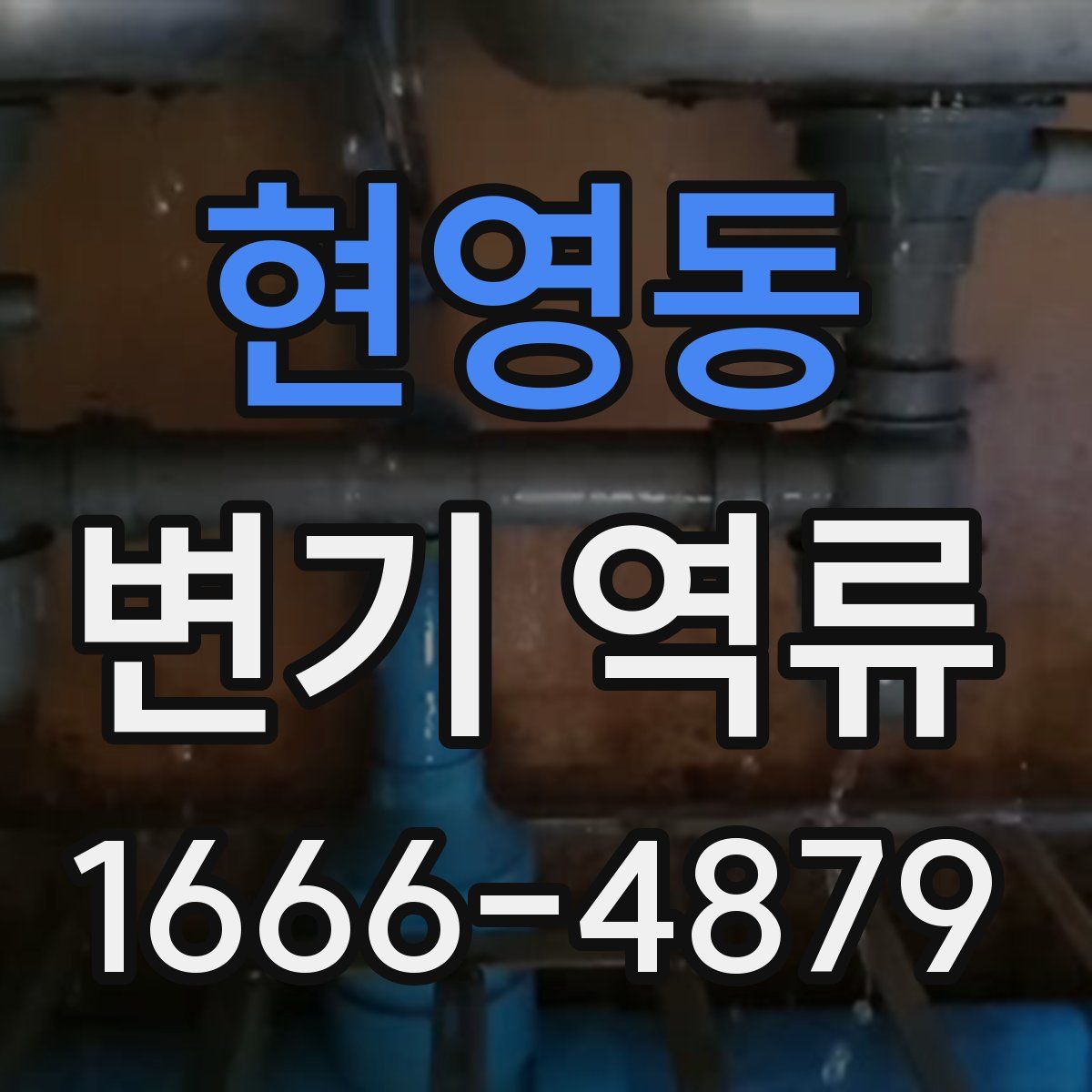 현영동 변기 역류