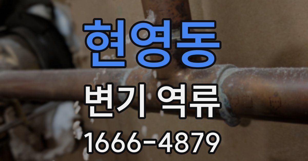현영동 변기 역류