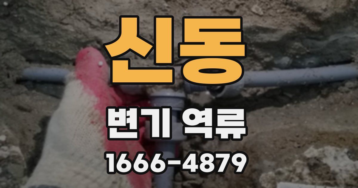 신동 변기 역류
