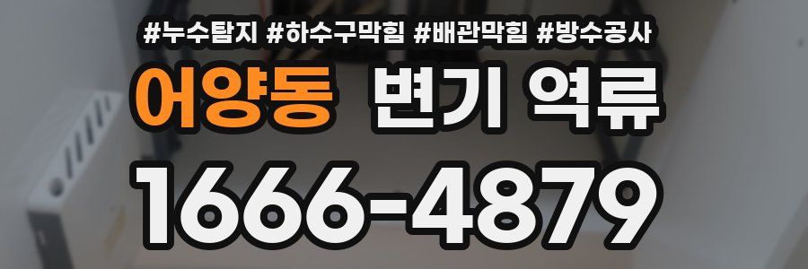 어양동 변기 역류