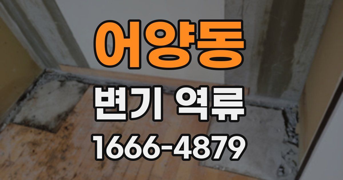 어양동 변기 역류