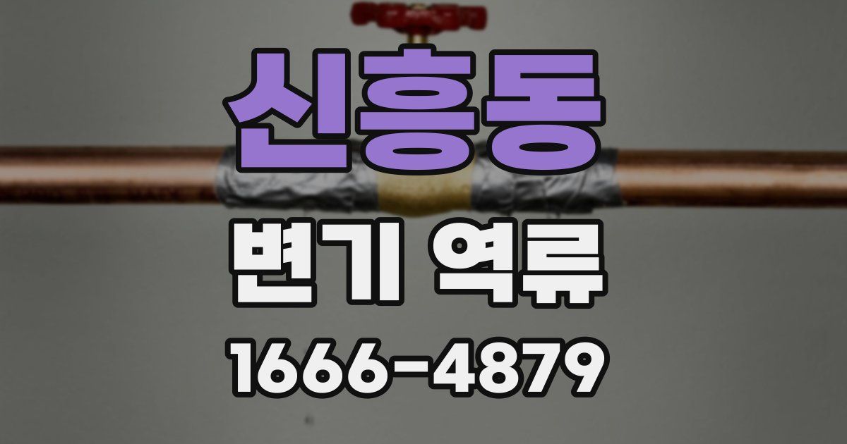 신흥동 변기 역류
