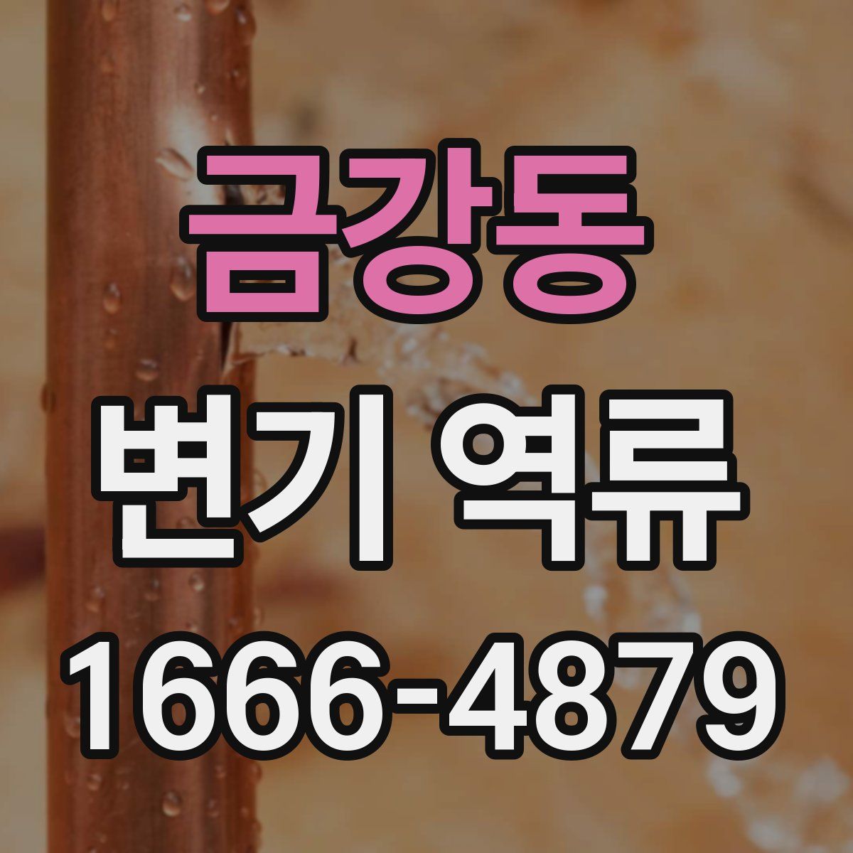 금강동 변기 역류