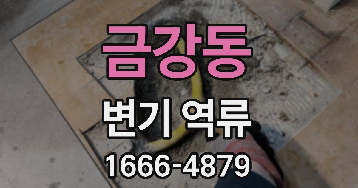 금강동 변기 역류