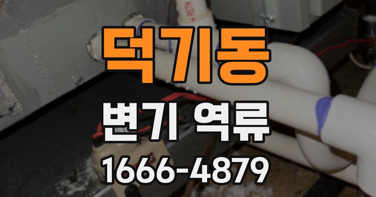 덕기동 변기 역류