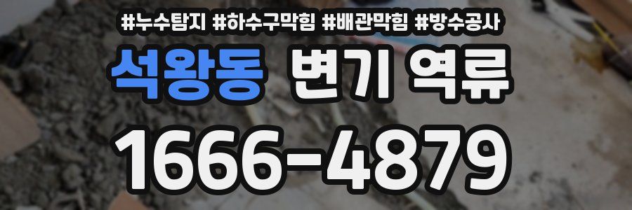 석왕동 변기 역류