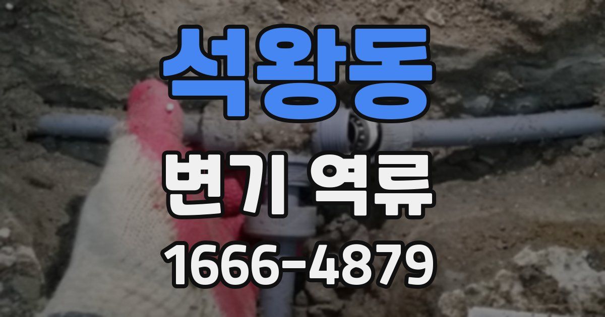 석왕동 변기 역류