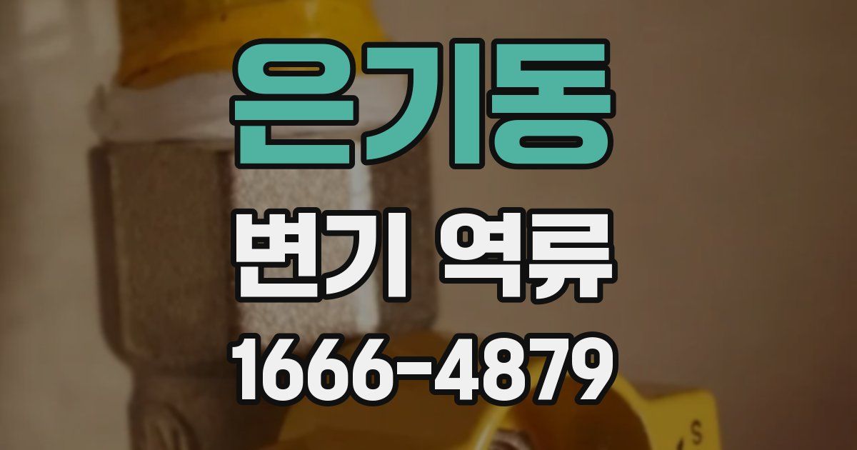 은기동 변기 역류