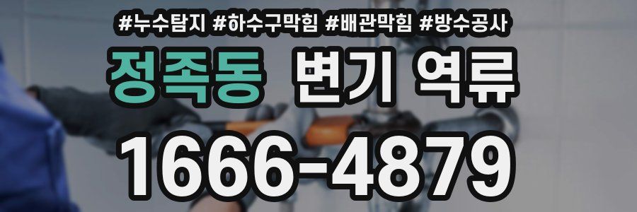 정족동 변기 역류
