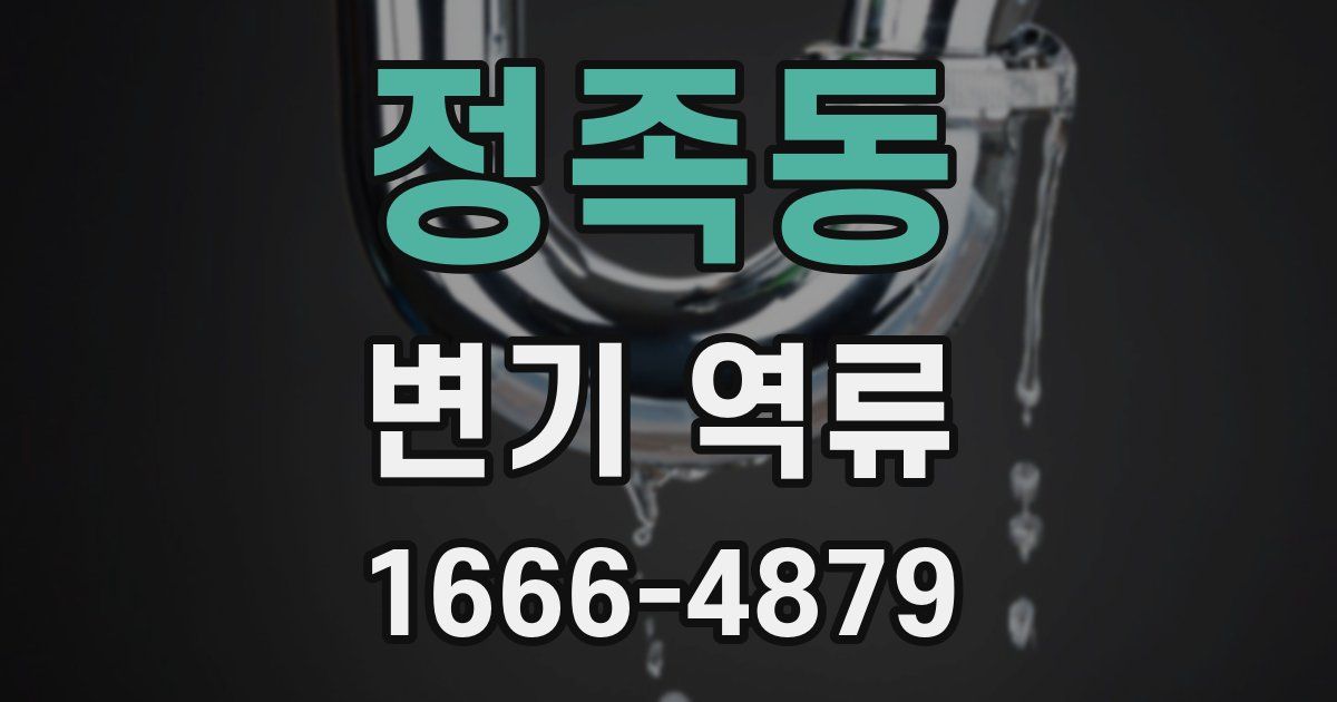 정족동 변기 역류