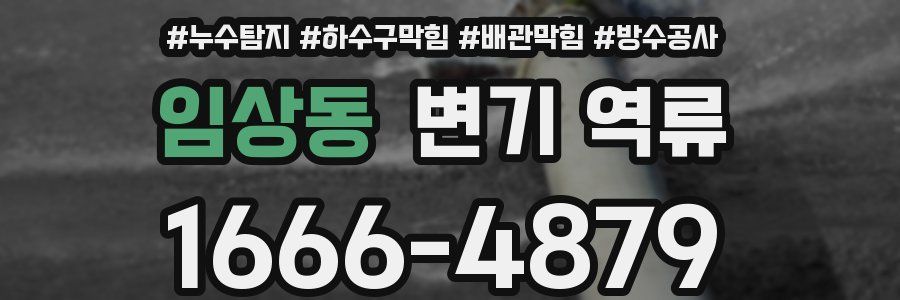 임상동 변기 역류