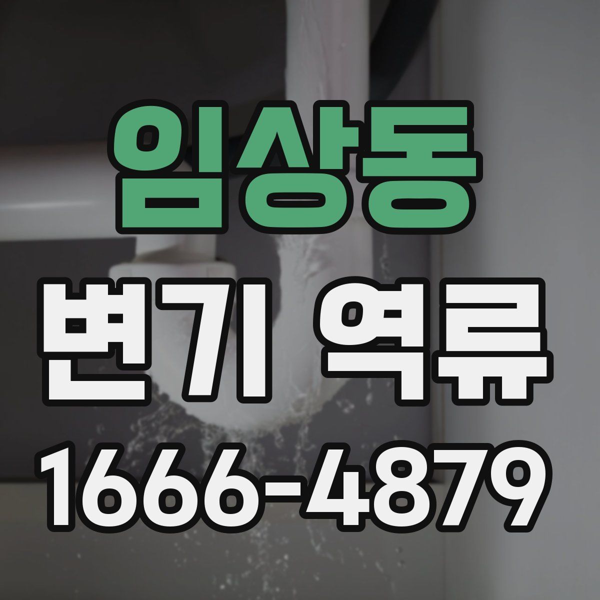 임상동 변기 역류