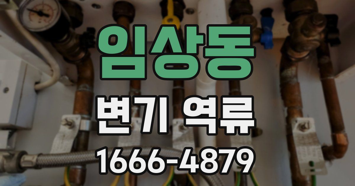 임상동 변기 역류