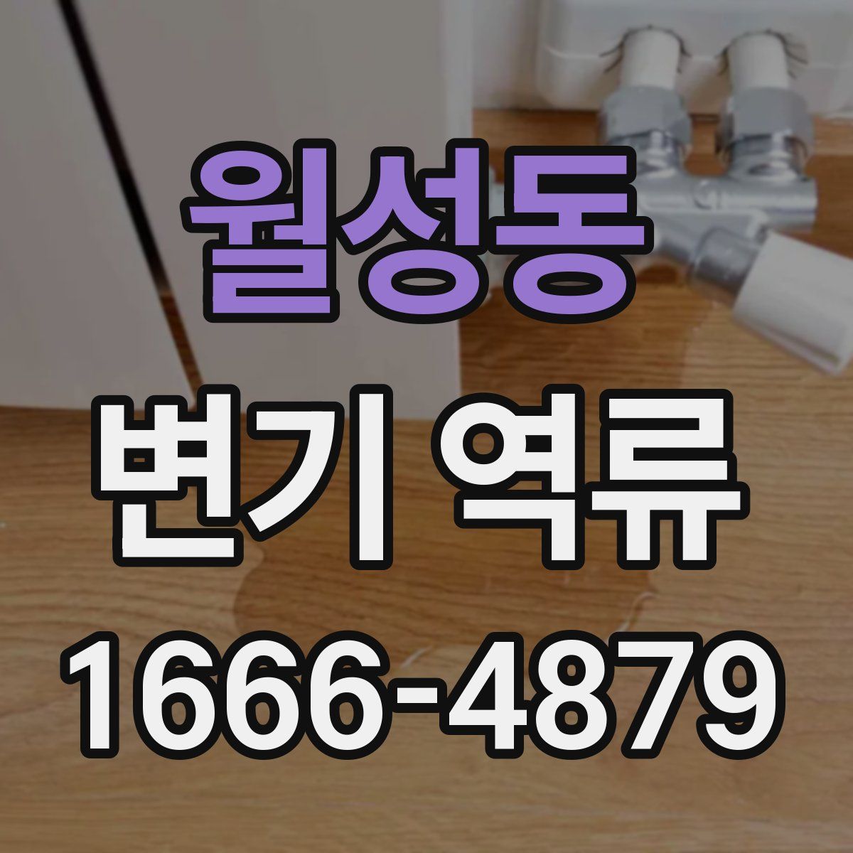 월성동 변기 역류