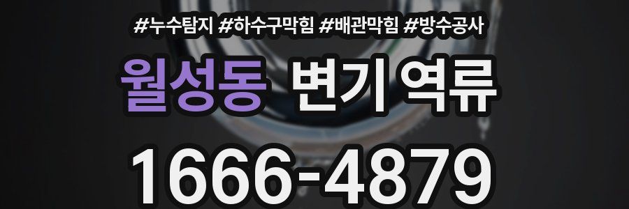 월성동 변기 역류