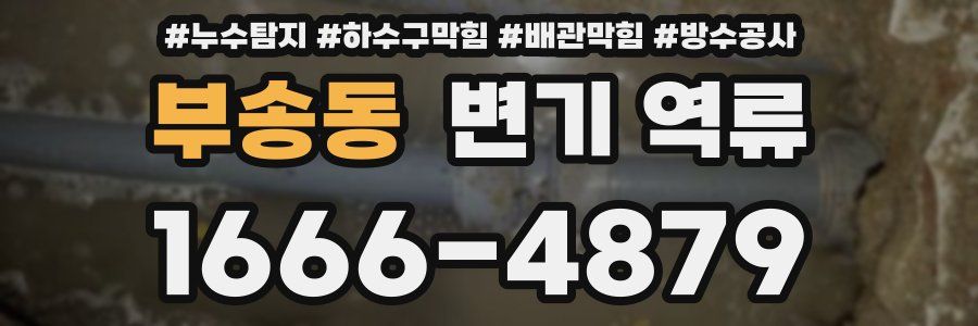 부송동 변기 역류