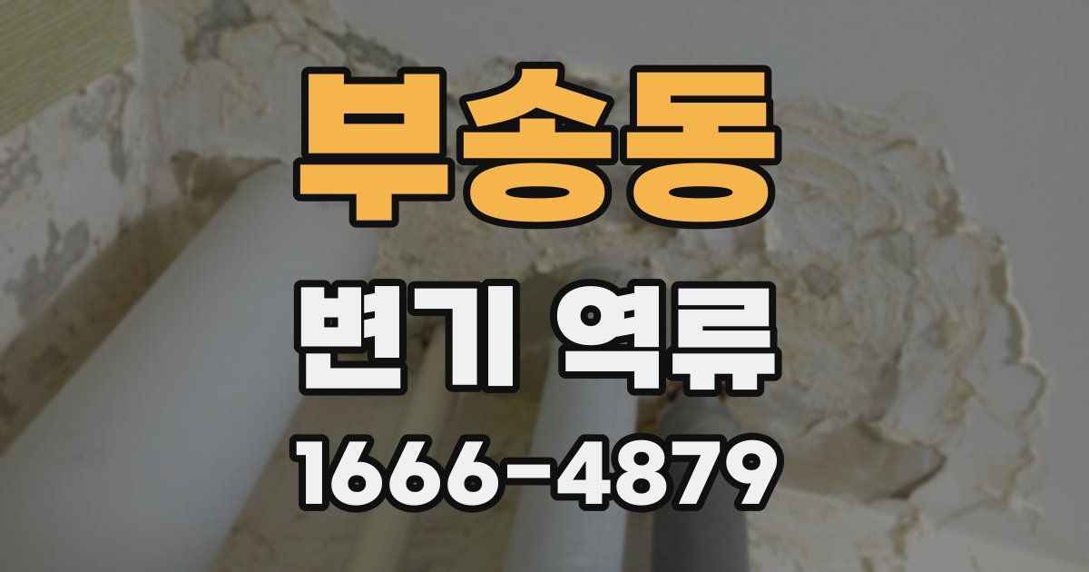 부송동 변기 역류
