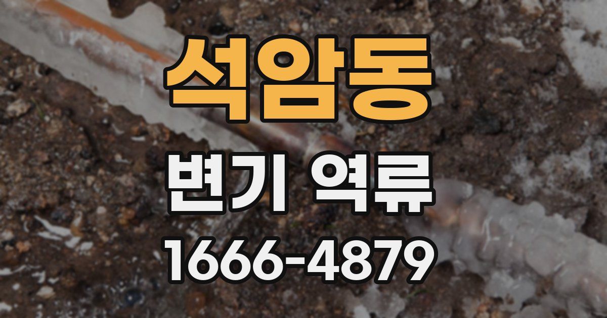 석암동 변기 역류