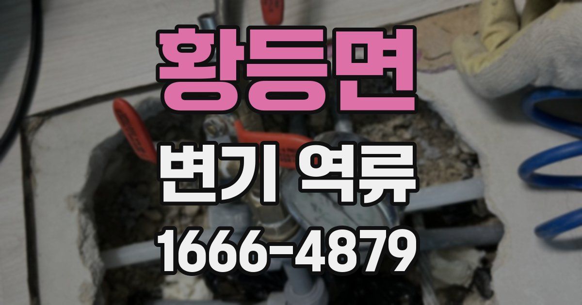 황등면 변기 역류